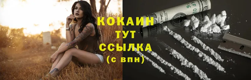 Cocaine Fish Scale  omg вход  Костерёво  где можно купить  